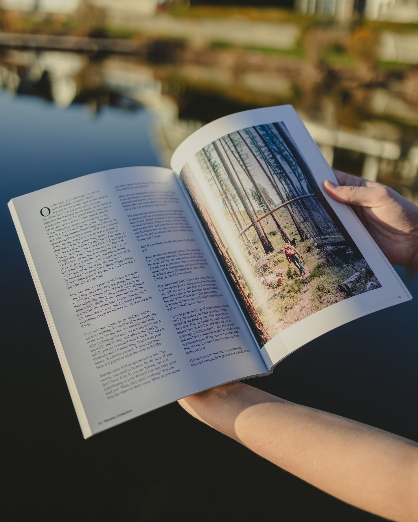 Revelry Collection Annual Subscription