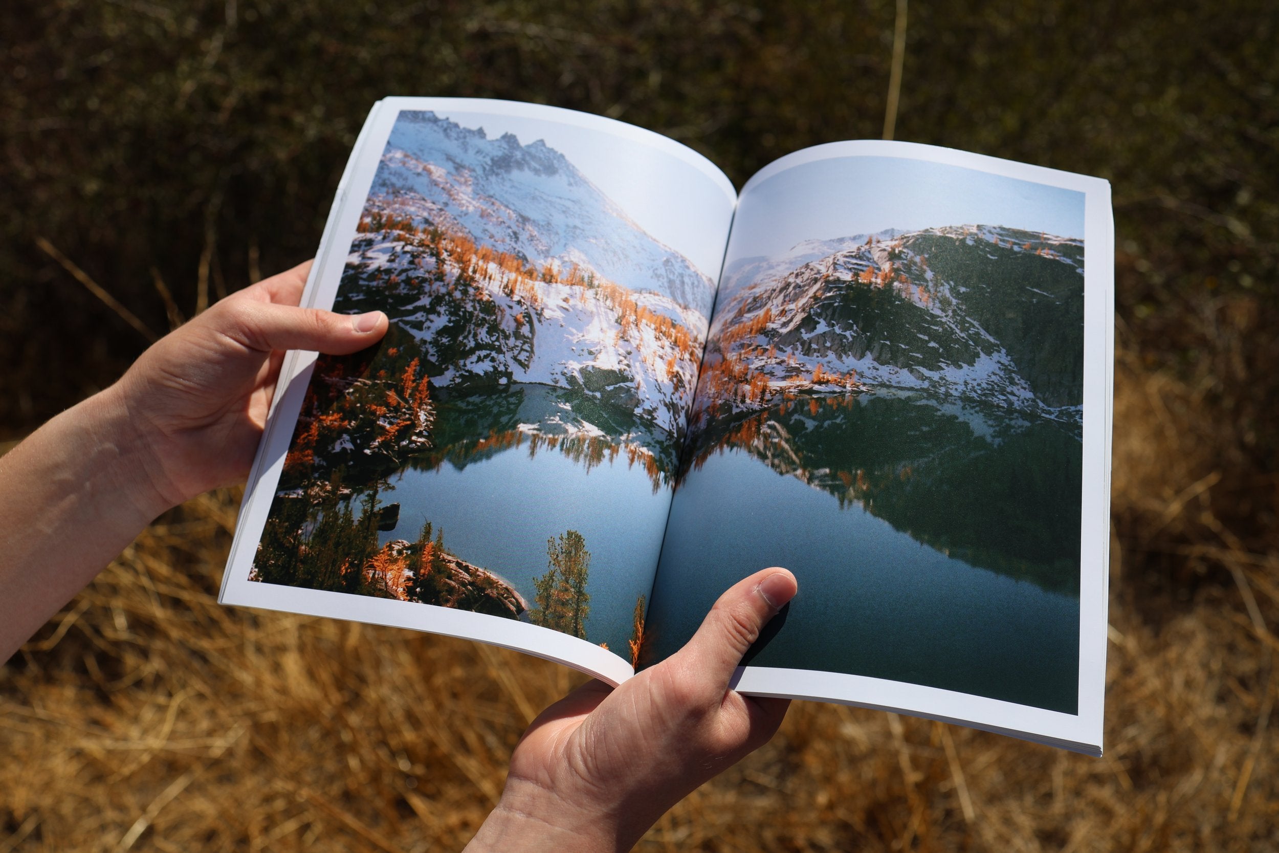 Revelry Collection Annual Subscription