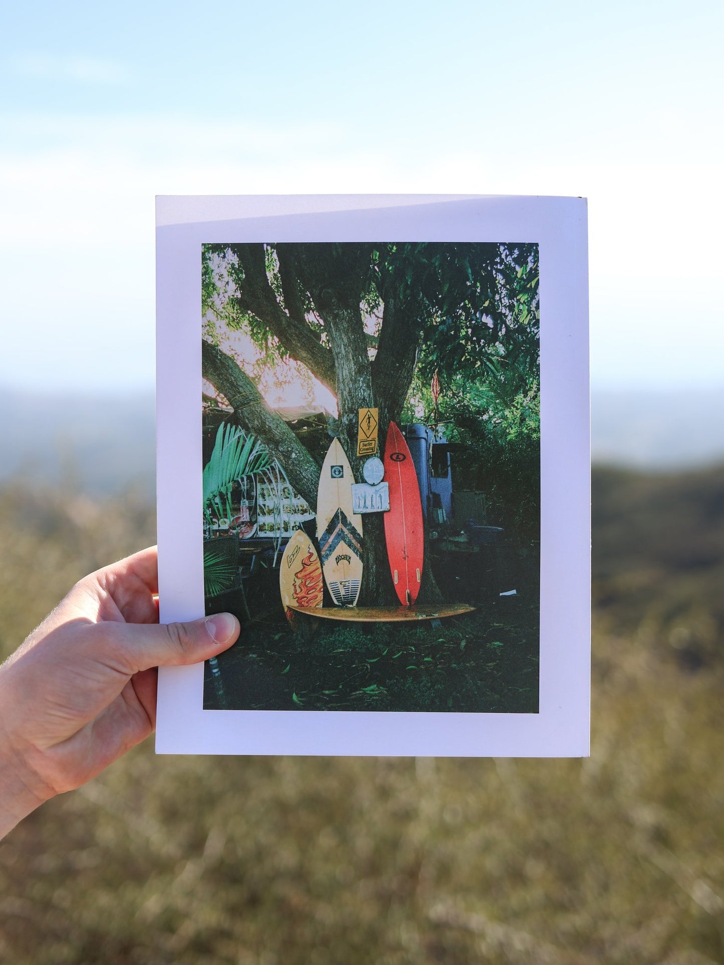 Revelry Collection Annual Subscription