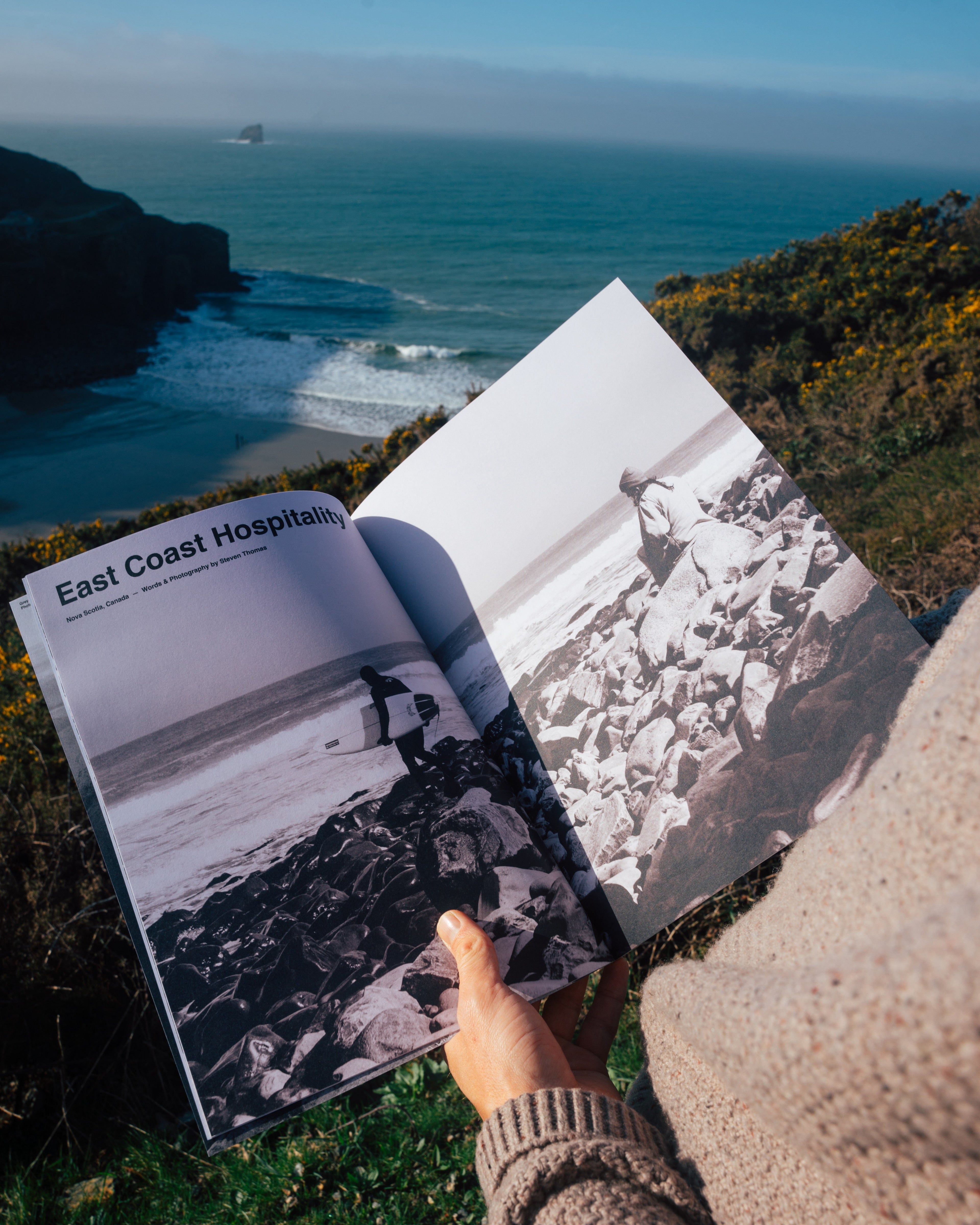 The Analog Club Annual Membership
